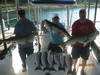 (08/29/2016) - Nice Striped Bass